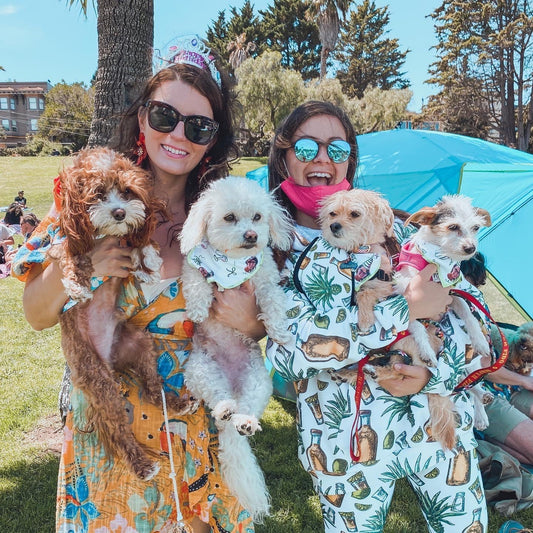 The Perfect Customizable Bandana for Party Animals