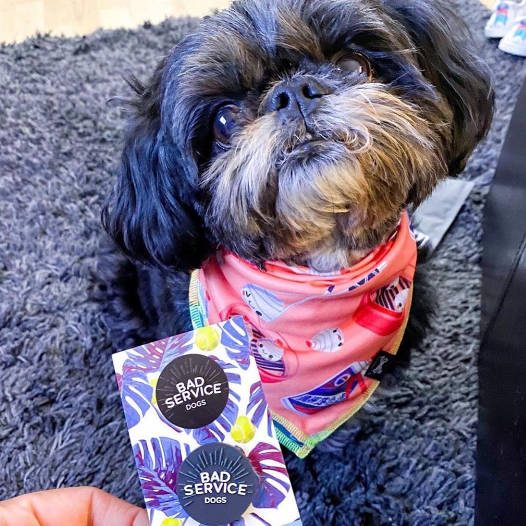 Dumpling Girls Dog Bandana • Personalized Dog Bandana • Baijiu Print