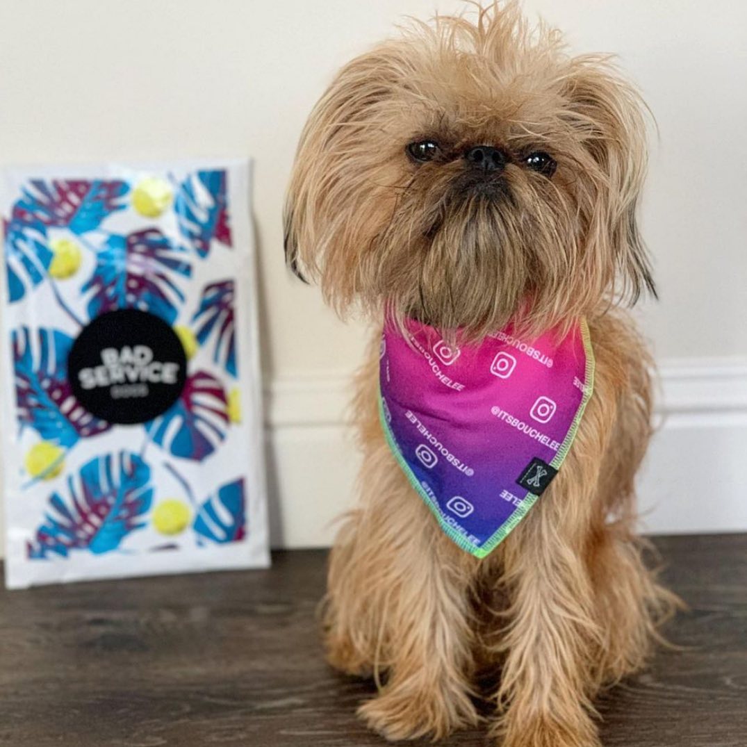 Custom IG Dogstagram Dog Bandana • Personalized Dog Bandana • Instagram Print