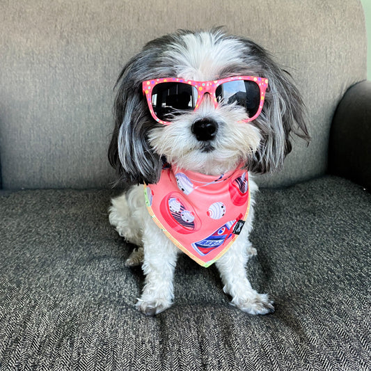 Dumpling Girls Dog Bandana • Personalized Dog Bandana • Baijiu Print