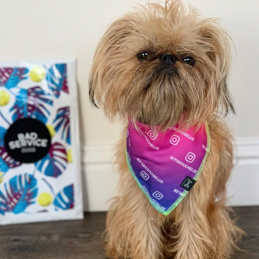 Custom IG Dogstagram Dog Bandana • Personalized Dog Bandana • Instagram Print