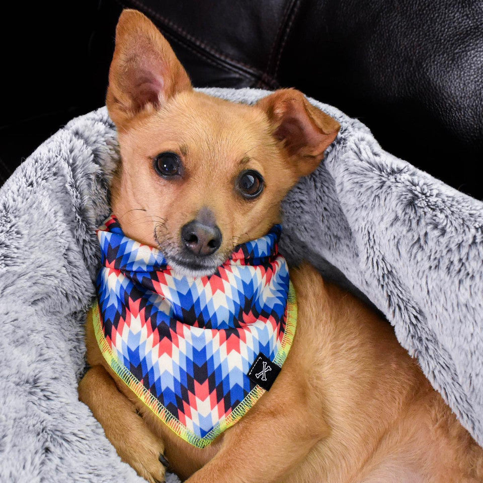 Native Dog Bandana • Personalized Dog Bandana