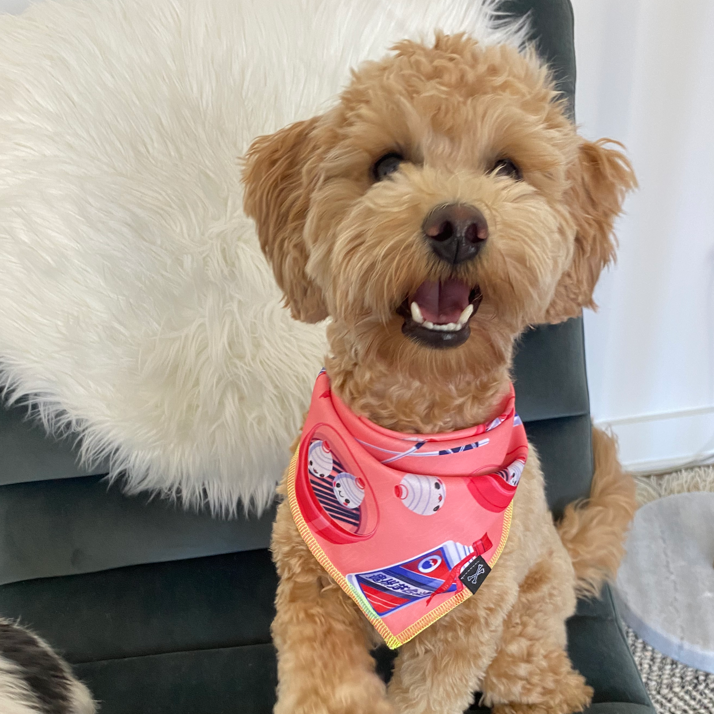 Dumpling Girls Dog Bandana • Personalized Dog Bandana • Baijiu Print